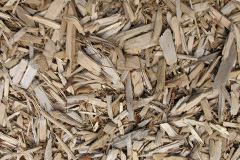 biomass boilers Sleapshyde