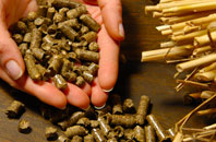 free Sleapshyde biomass boiler quotes
